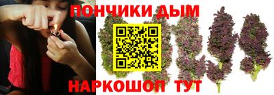 бошки Дубна